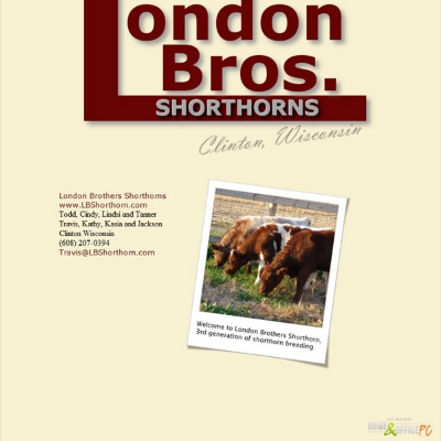 London Brothers Shorthorn